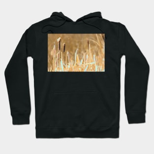 Bulrush Illustration Hoodie